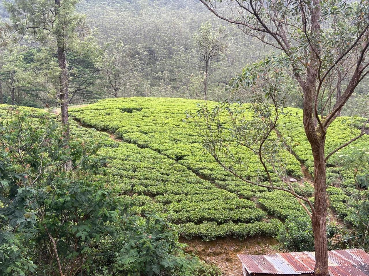 Shan Hotel Nallathanniya Exterior photo